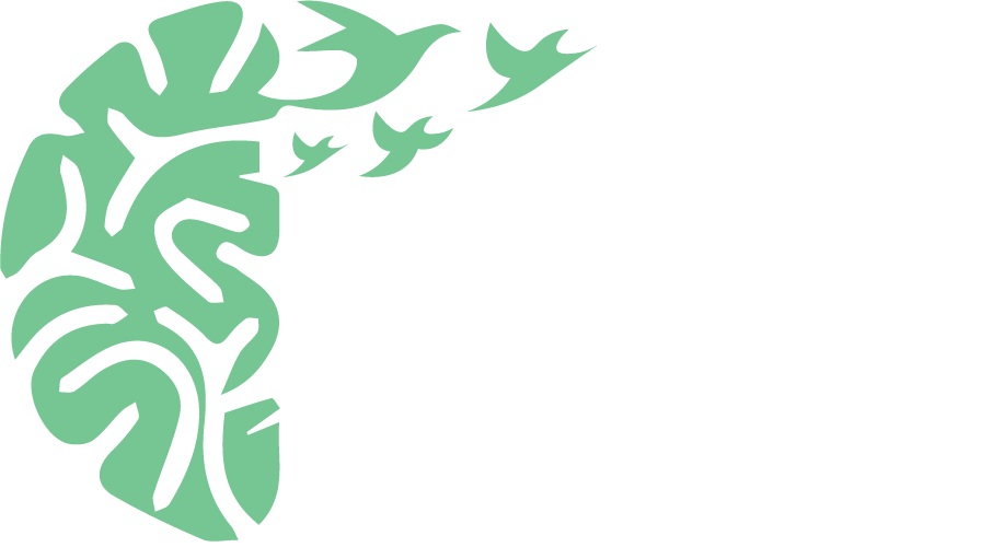 kehawellness.in